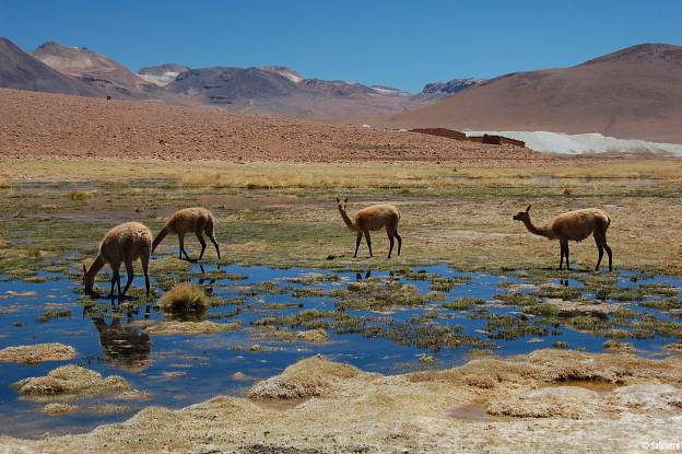 Chile