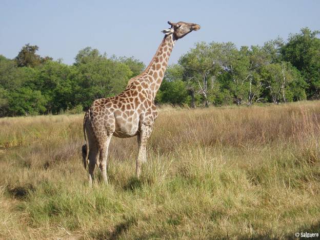 Botswana