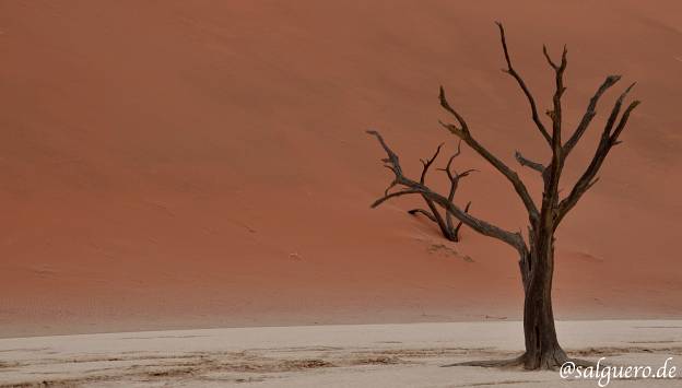 2015 Namibia & Botswana & Südafrika