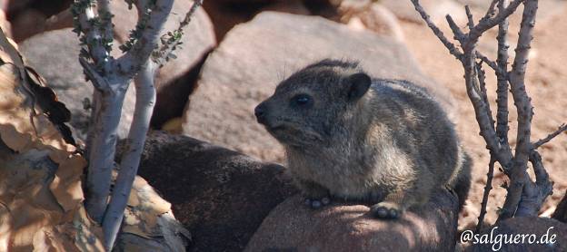 Namibia