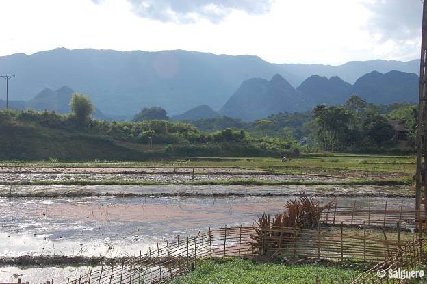 Vietnam