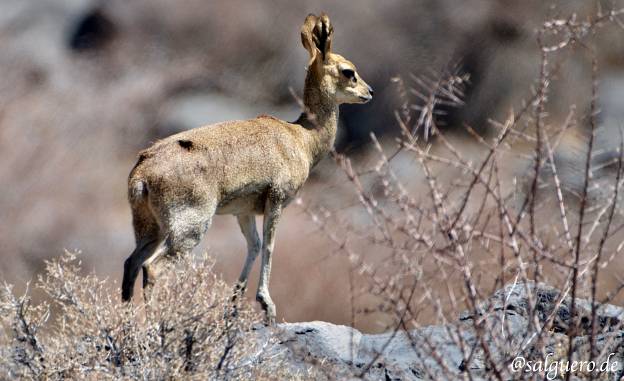 Namibia